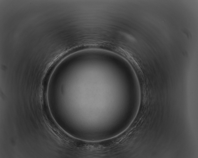 X0000090880346200708031036