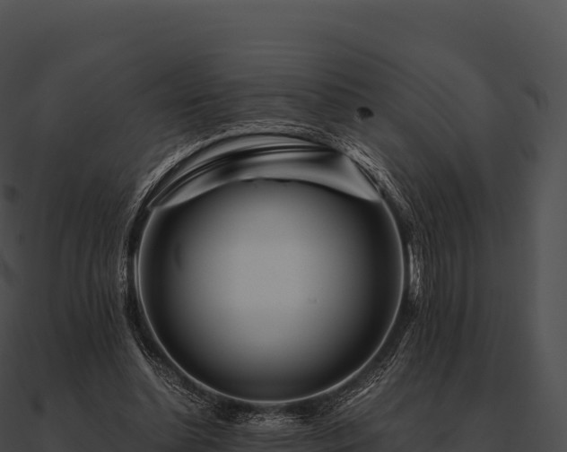 X0000090880348200708031036