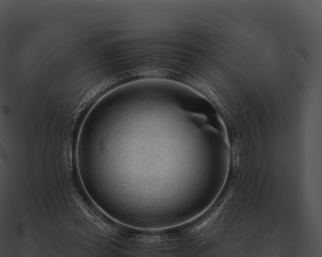 X0000090880349200708031036