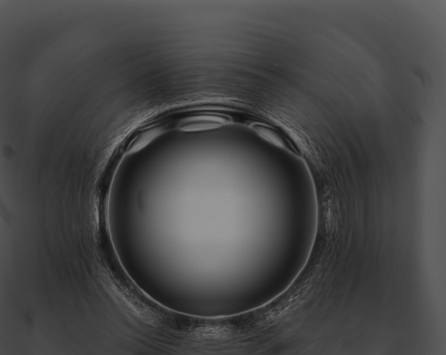 X0000090880350200708031036