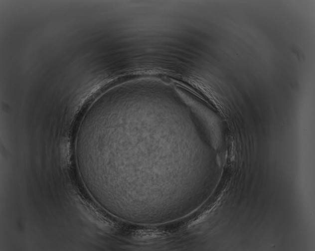 X0000090880351200708031036