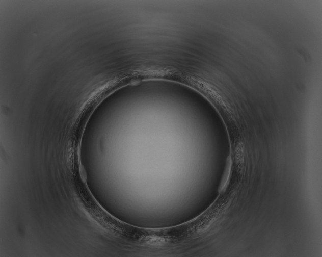 X0000090880352200708031036
