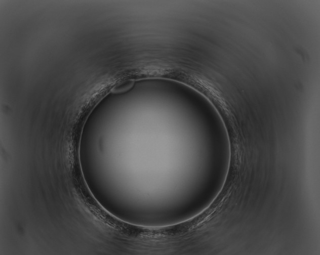 X0000090880354200708031036