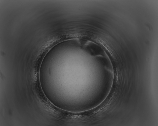 X0000090880355200708031036