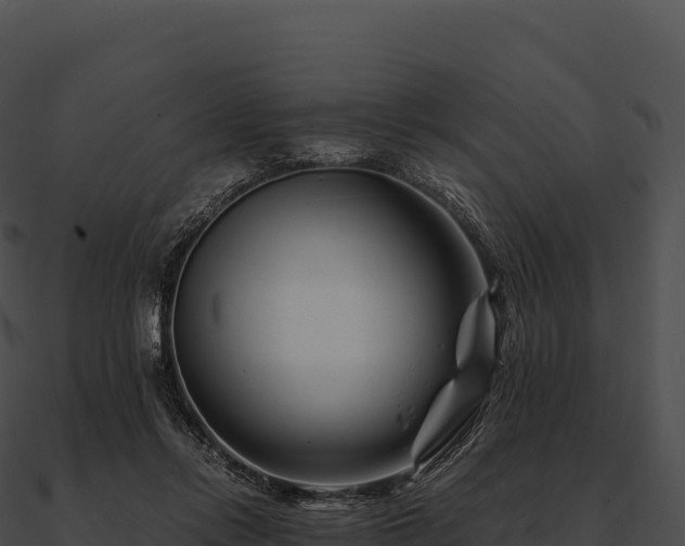 X0000090880358200708031036