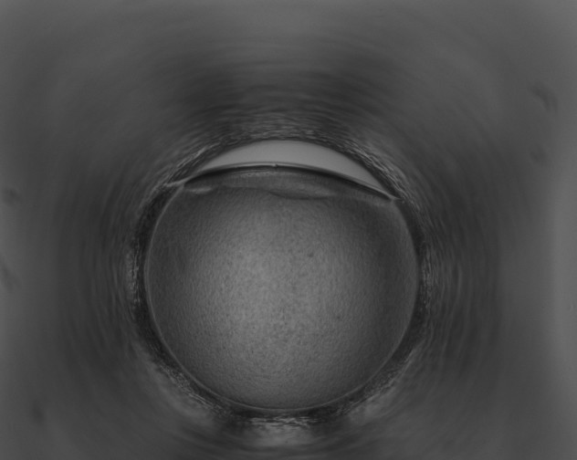 X0000090880359200708031036