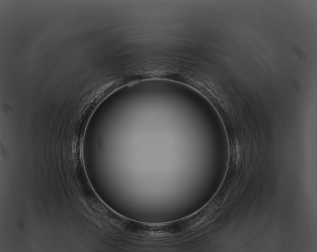 X0000090880360200708031036