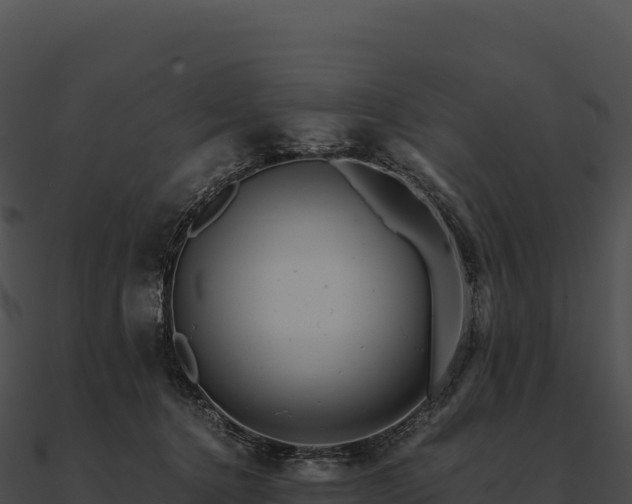 X0000090880368200708031036