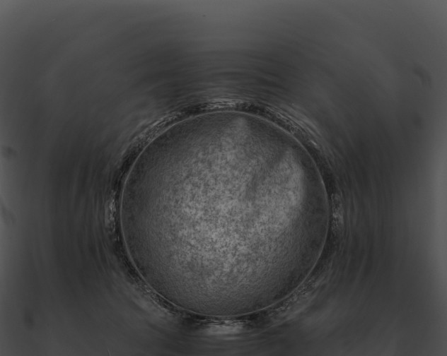 X0000090880369200708031036