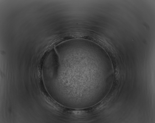 X0000090880371200708031036