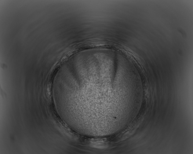 X0000090880373200708031036