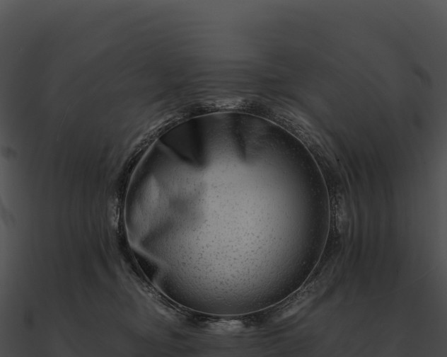 X0000090880374200708031036
