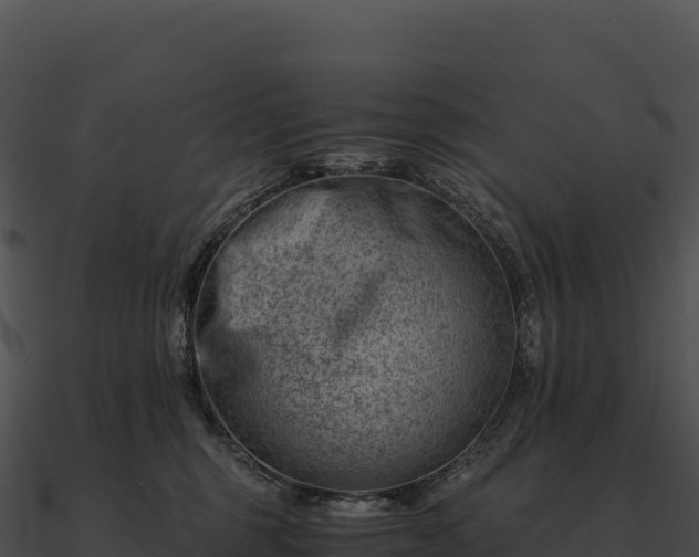 X0000090880375200708031036