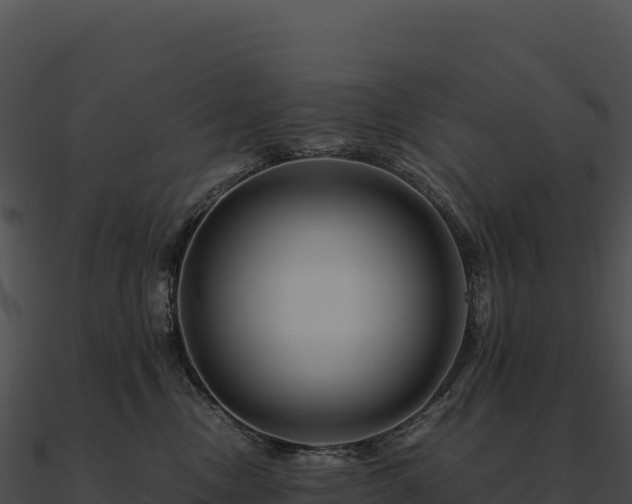 X0000090880378200708031036