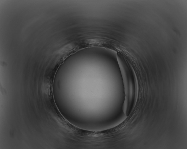 X0000090880379200708031036