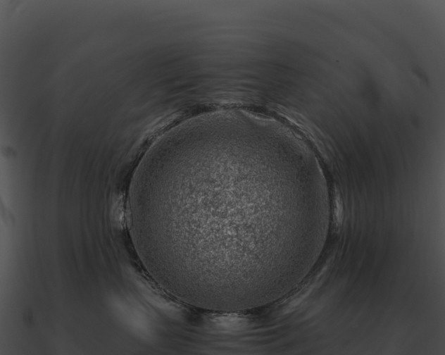 X0000090880383200708031036
