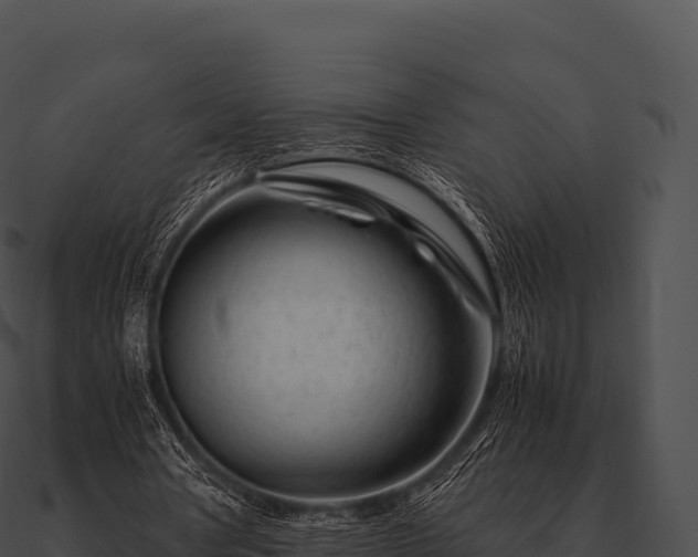 X0000090880386200708031036