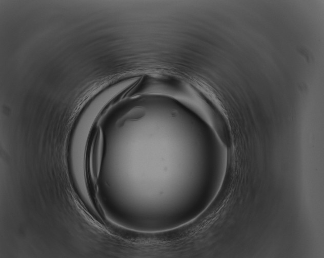 X0000090880389200708031036