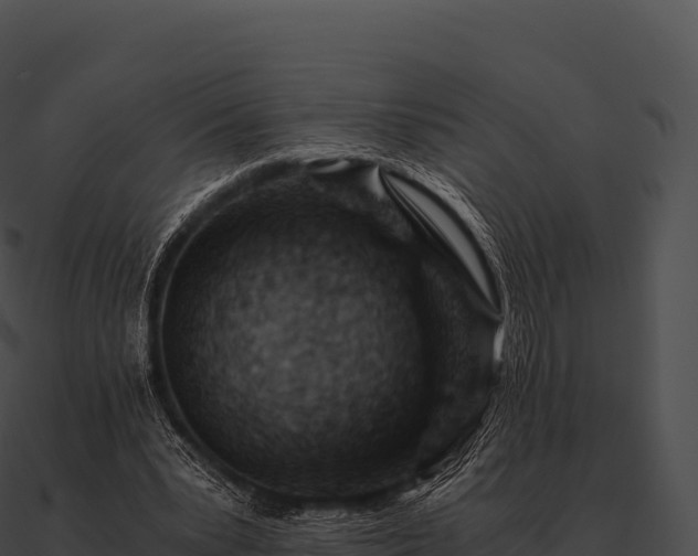 X0000090880391200708031036