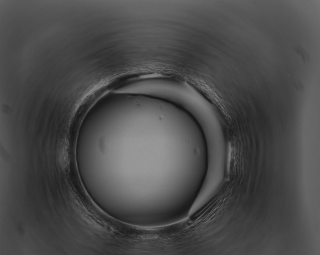 X0000090880392200708031036