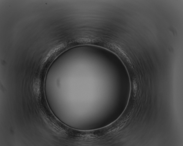 X0000090880396200708031035