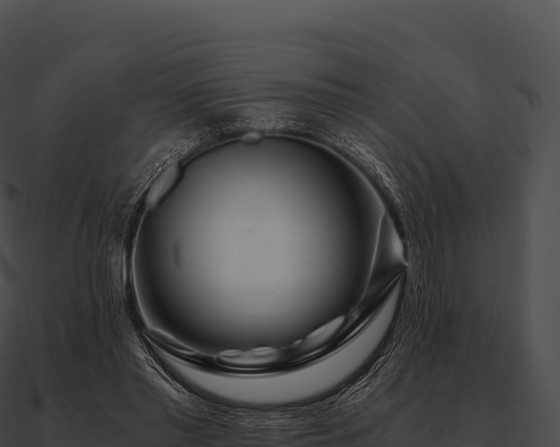 X0000090880397200708031035