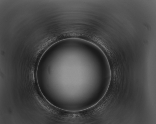 X0000090880398200708031035