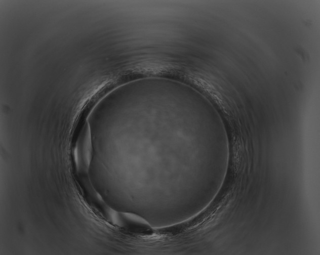 X0000090880399200708031035