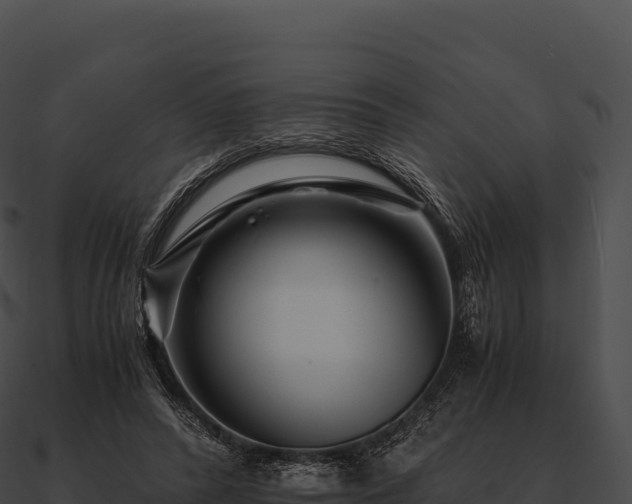 X0000090880400200708031035