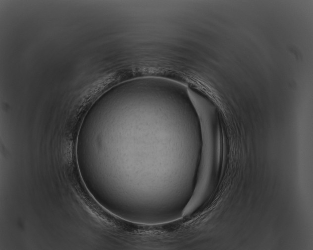 X0000090880401200708031035