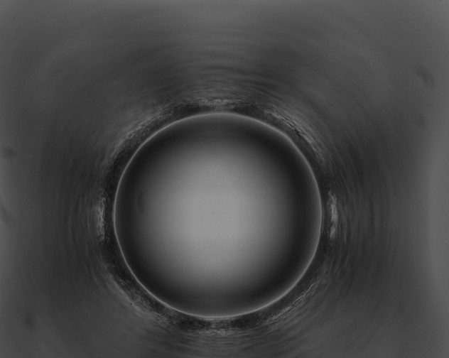 X0000090880404200708031035