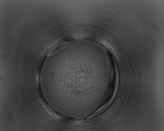 X0000090880405200708031035