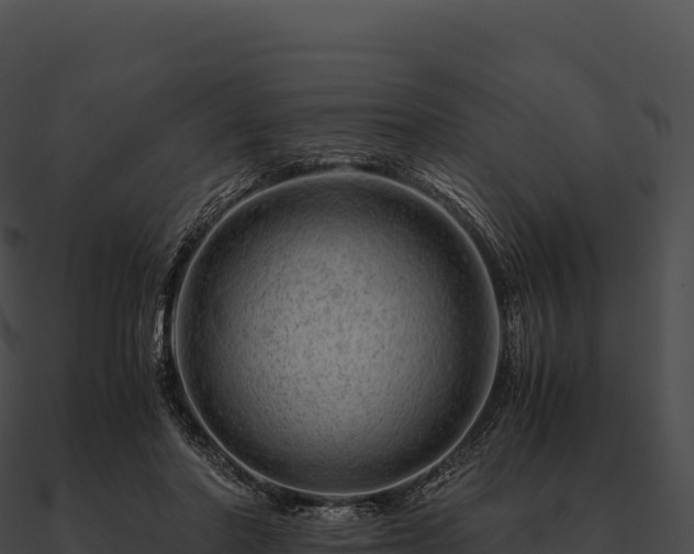 X0000090880406200708031035