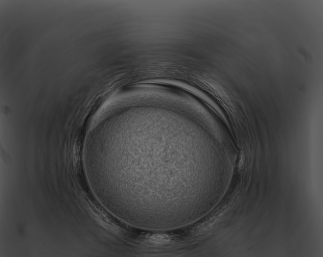 X0000090880409200708031035