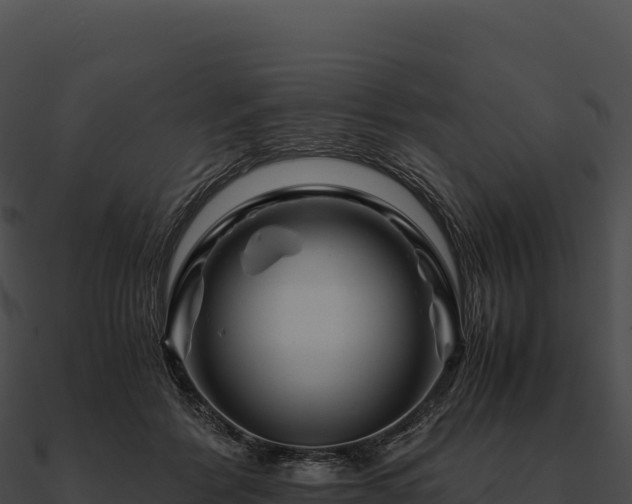 X0000090880412200708031035