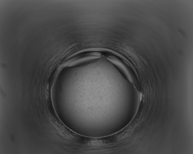 X0000090880413200708031035