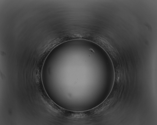 X0000090880414200708031035