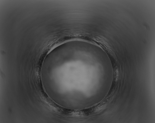 X0000090880415200708031035
