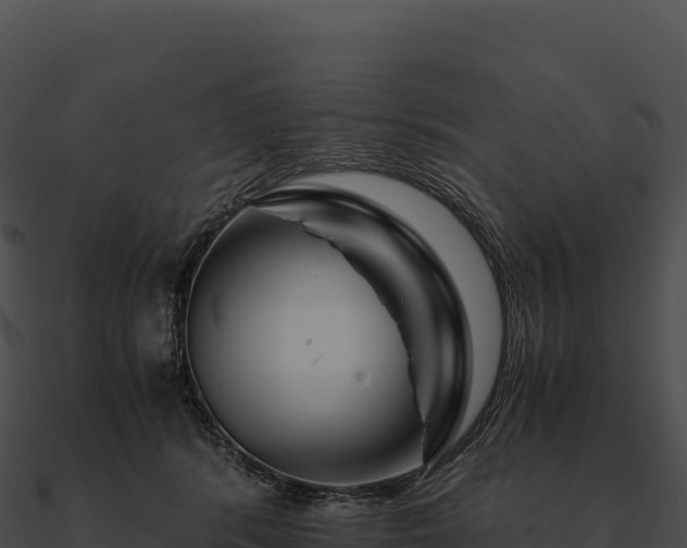 X0000090880416200708031035