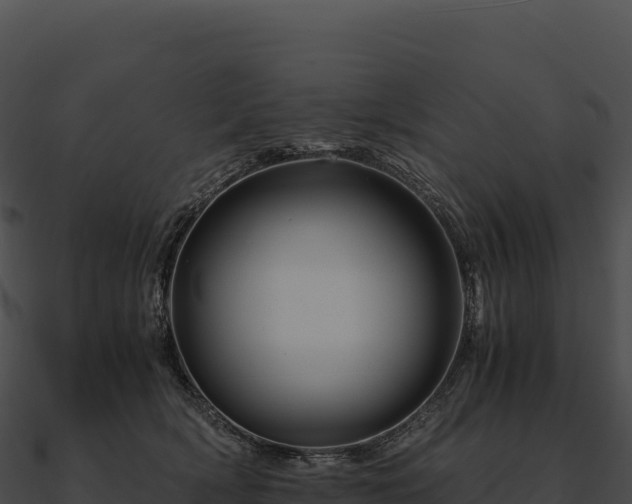 X0000090880418200708031035