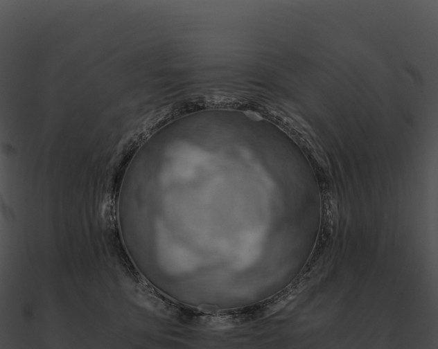 X0000090880419200708031035