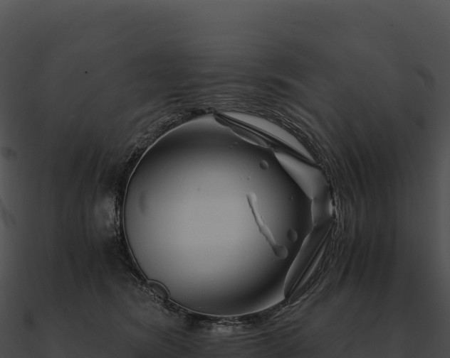 X0000090880420200708031035