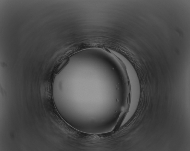 X0000090880421200708031035