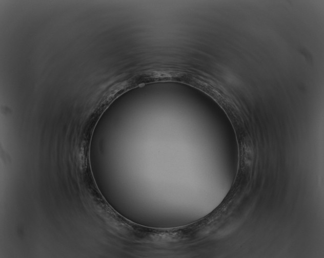 X0000090880422200708031035