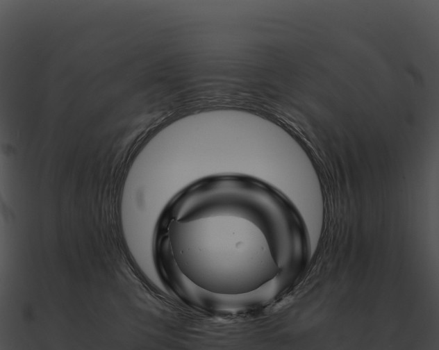 X0000090880423200708031035