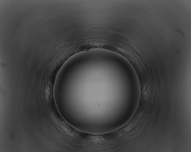 X0000090880424200708031035