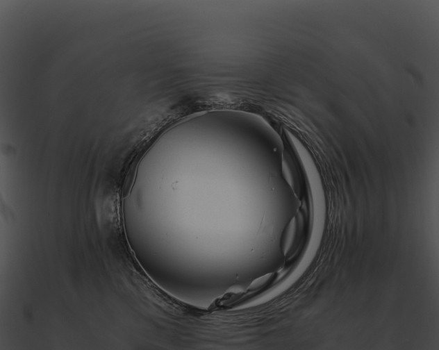 X0000090880425200708031035