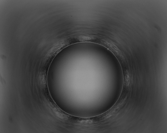 X0000090880426200708031035