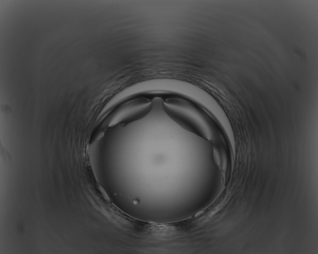 X0000090880429200708031035