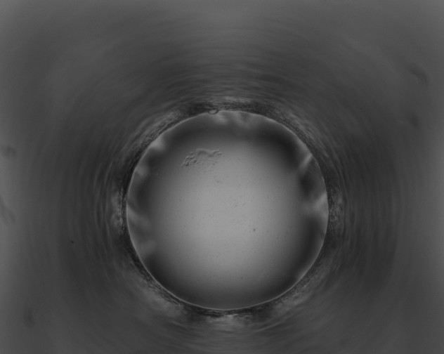X0000090880430200708031035